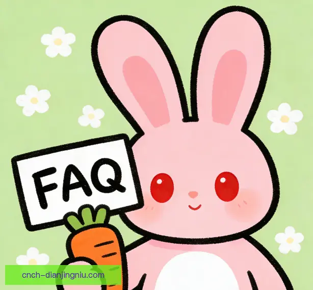 常见问题